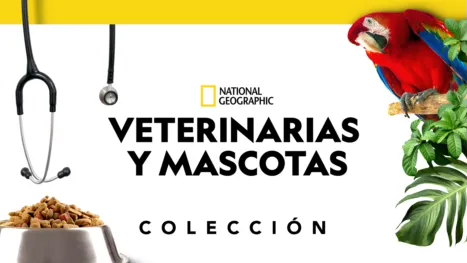 thumbnail - Veterinarias y mascotas