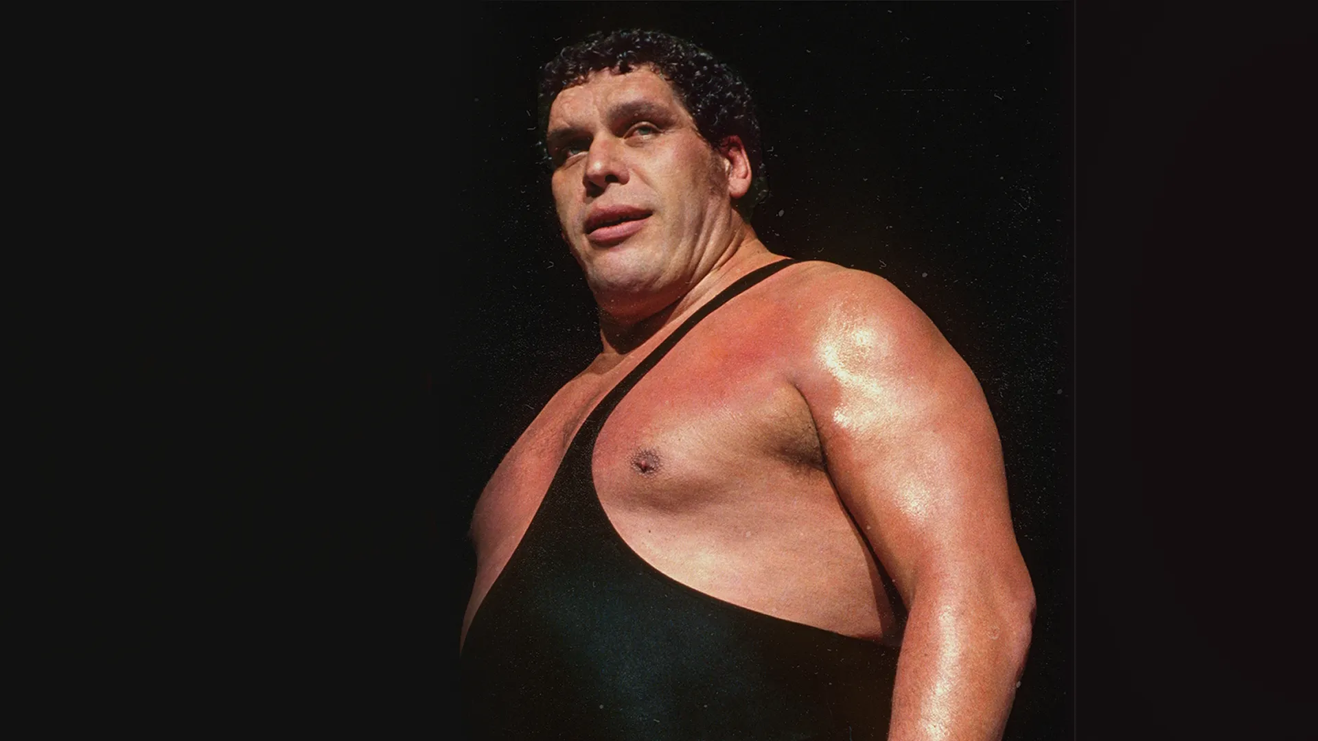 Andre the Giant