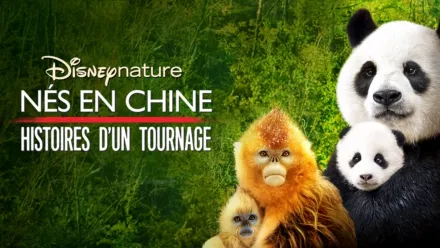 thumbnail - Nés en Chine : Histoires d’un tournage