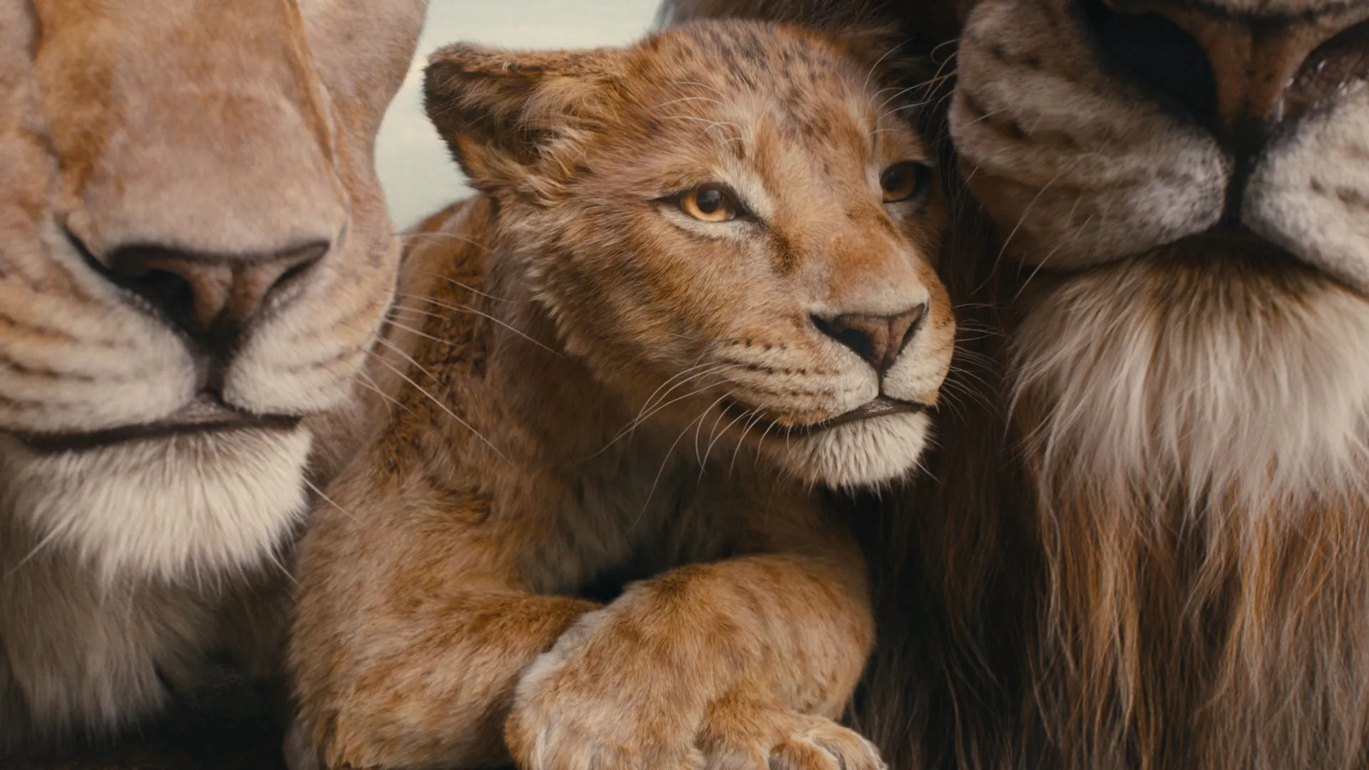 A young Mufasa as a cub with his parents.