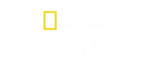 國家地理動物和自然