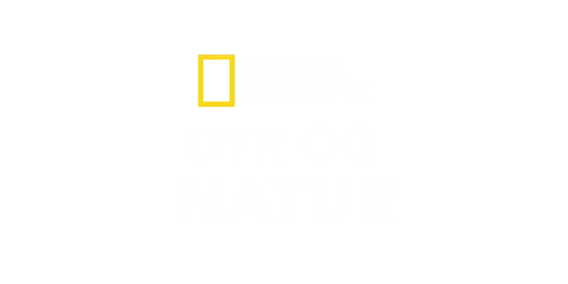 National Geographic Dyr og natur