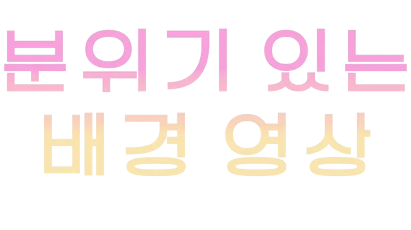 분위기 있는 배경 영상
