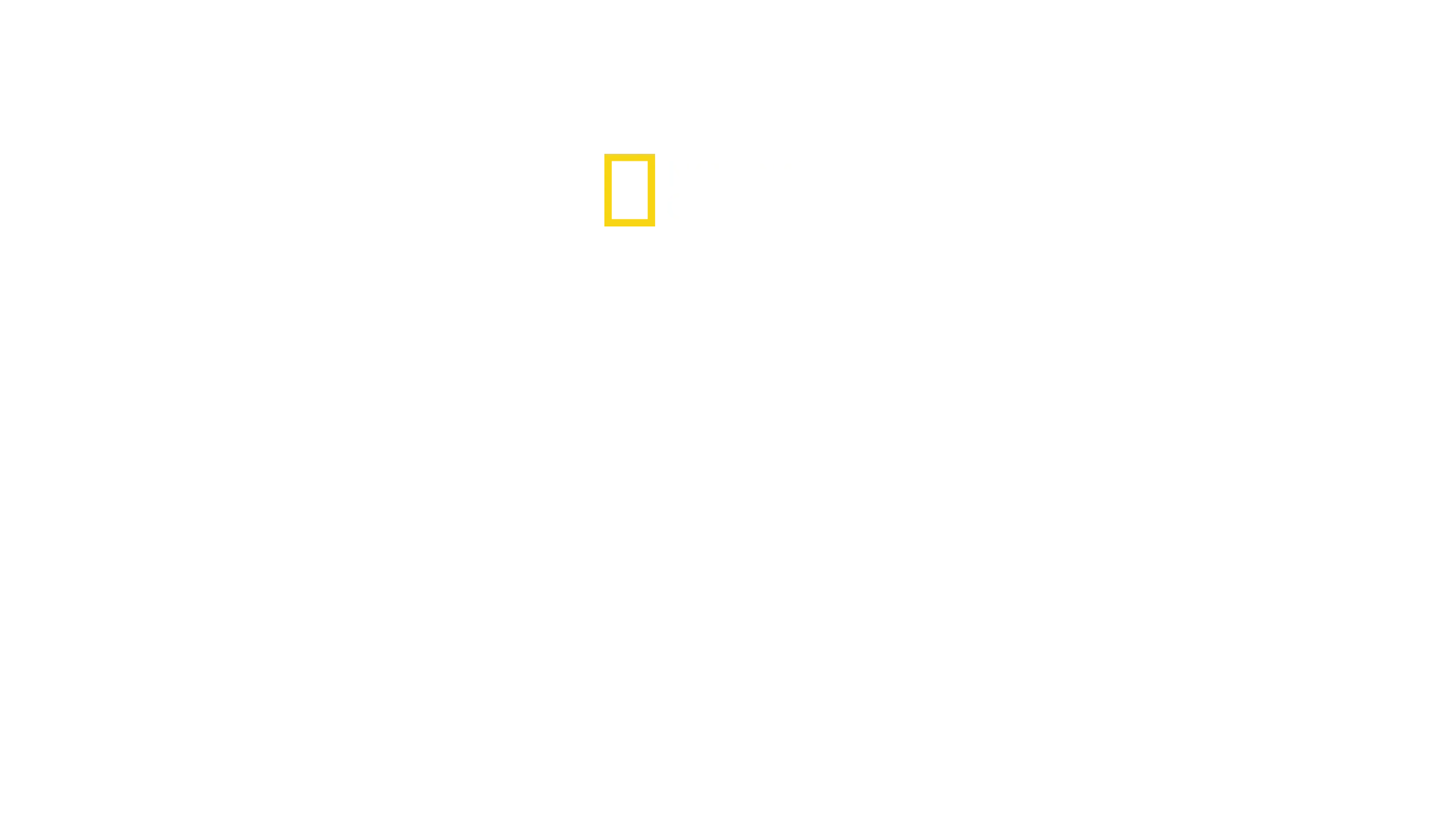 Villdyrenes rike