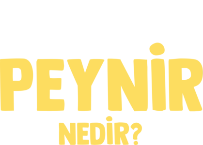 Forky Soruyor: Peynir Nedir?