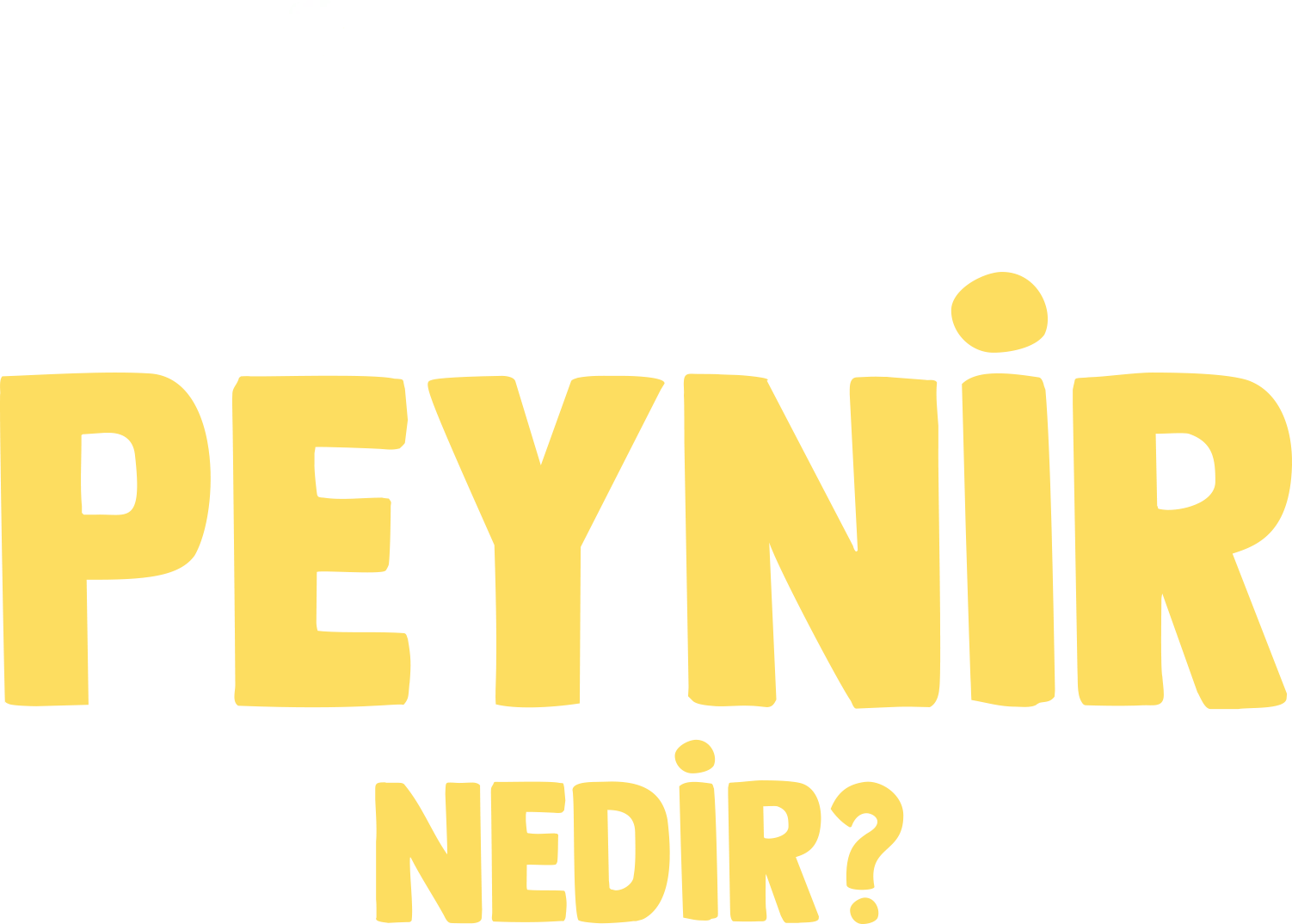 Forky Soruyor: Peynir Nedir?