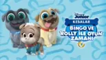 thumbnail - Bingo ve Rolly ile Oyun Zamanı (Kısalar)