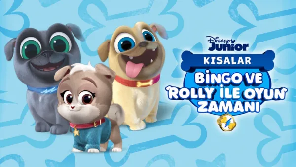 thumbnail - Bingo ve Rolly ile Oyun Zamanı (Kısalar)