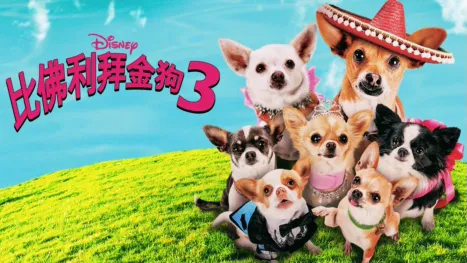 thumbnail - 比佛利拜金狗3