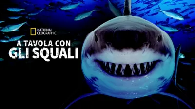 A tavola con gli squali