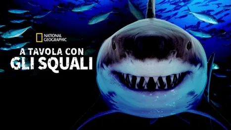 thumbnail - A tavola con gli squali