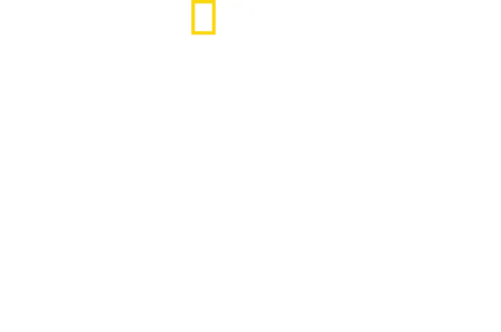 Disney’s Animal Kingdom: Το Μαγικό Πάρκο