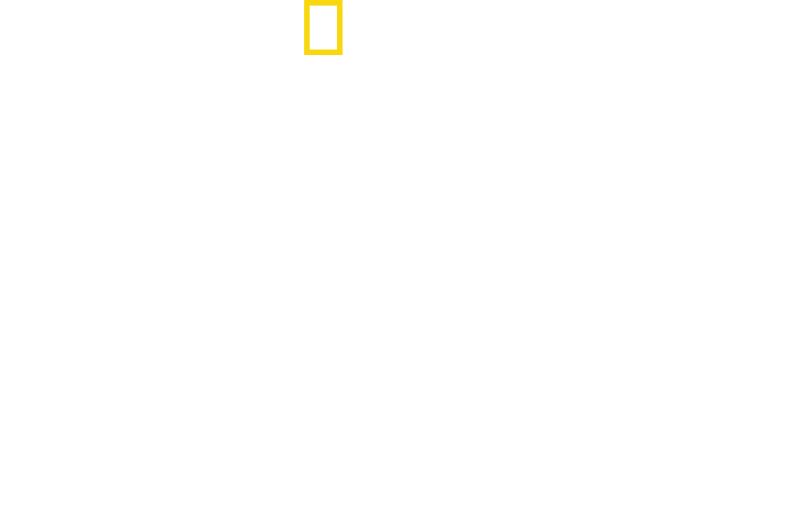 Disney’s Animal Kingdom: Το Μαγικό Πάρκο