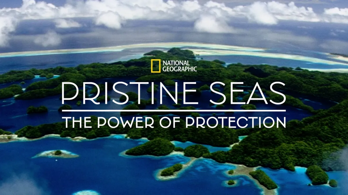 Watch Pristine Seas: The Power of Protection | Disney+