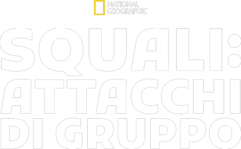 Squali: attacchi di gruppo