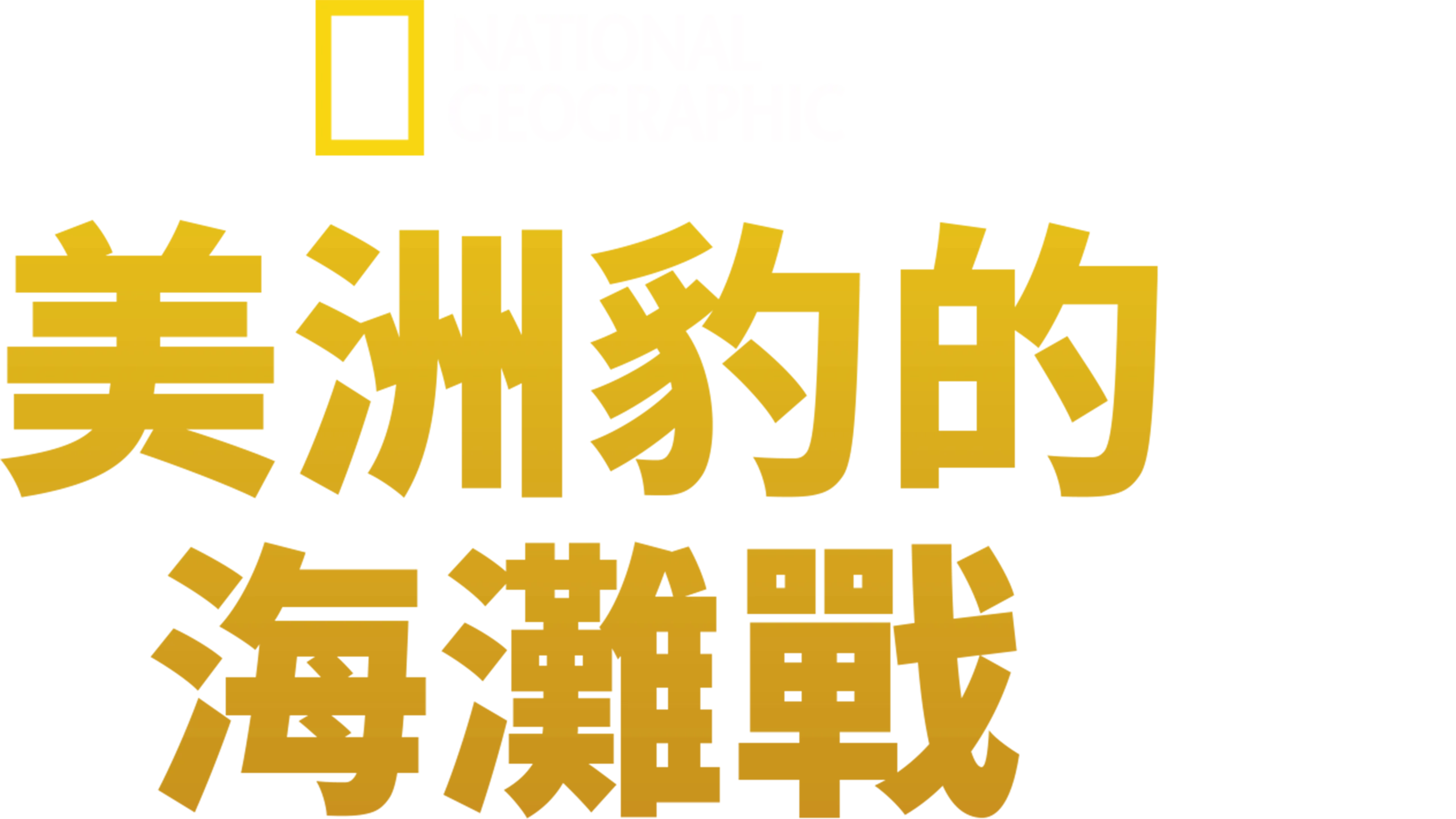 美洲豹的海灘戰