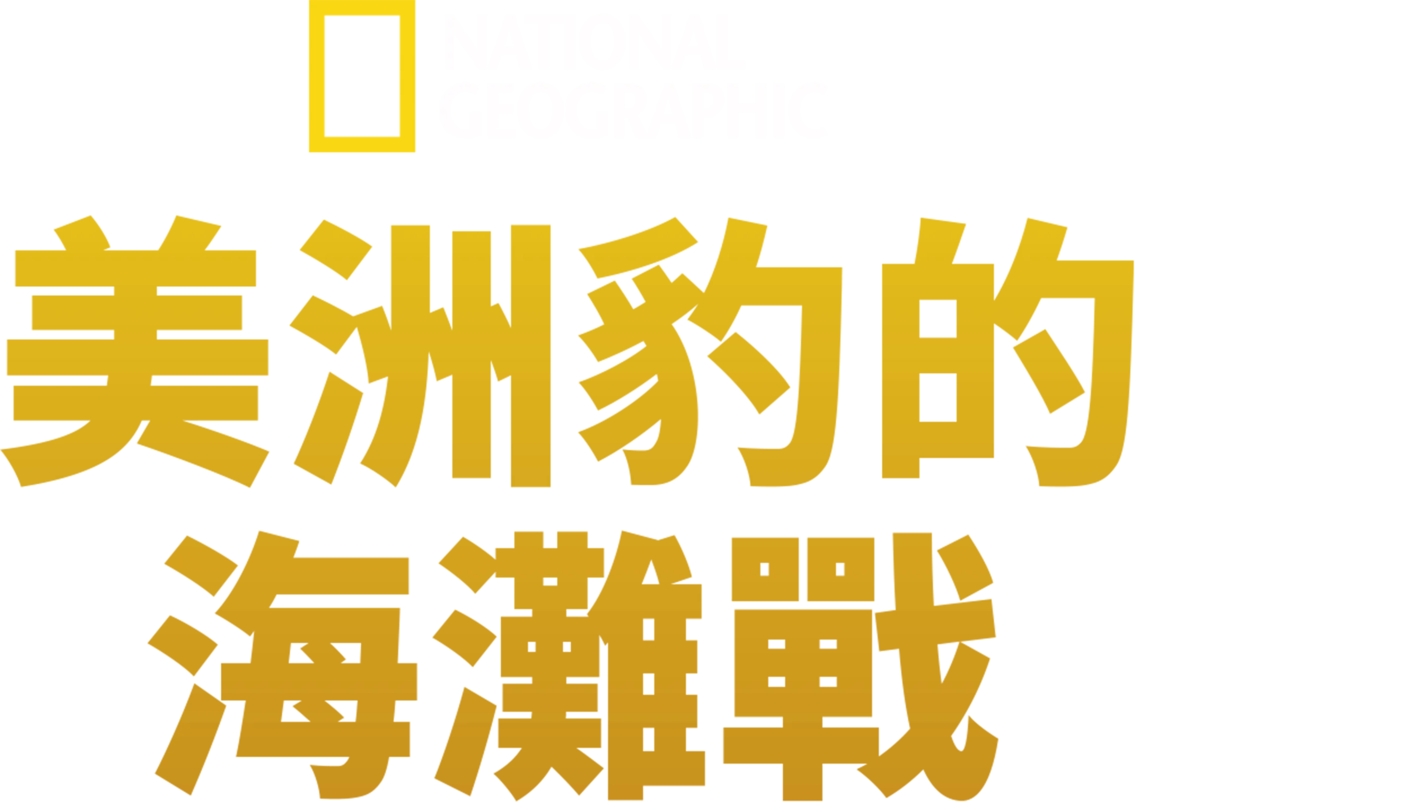 美洲豹的海灘戰