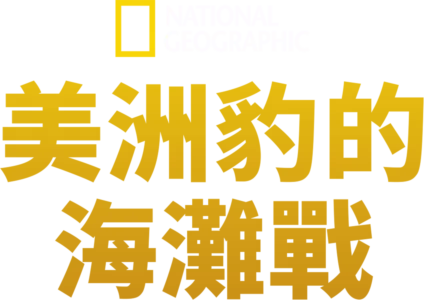 美洲豹的海灘戰