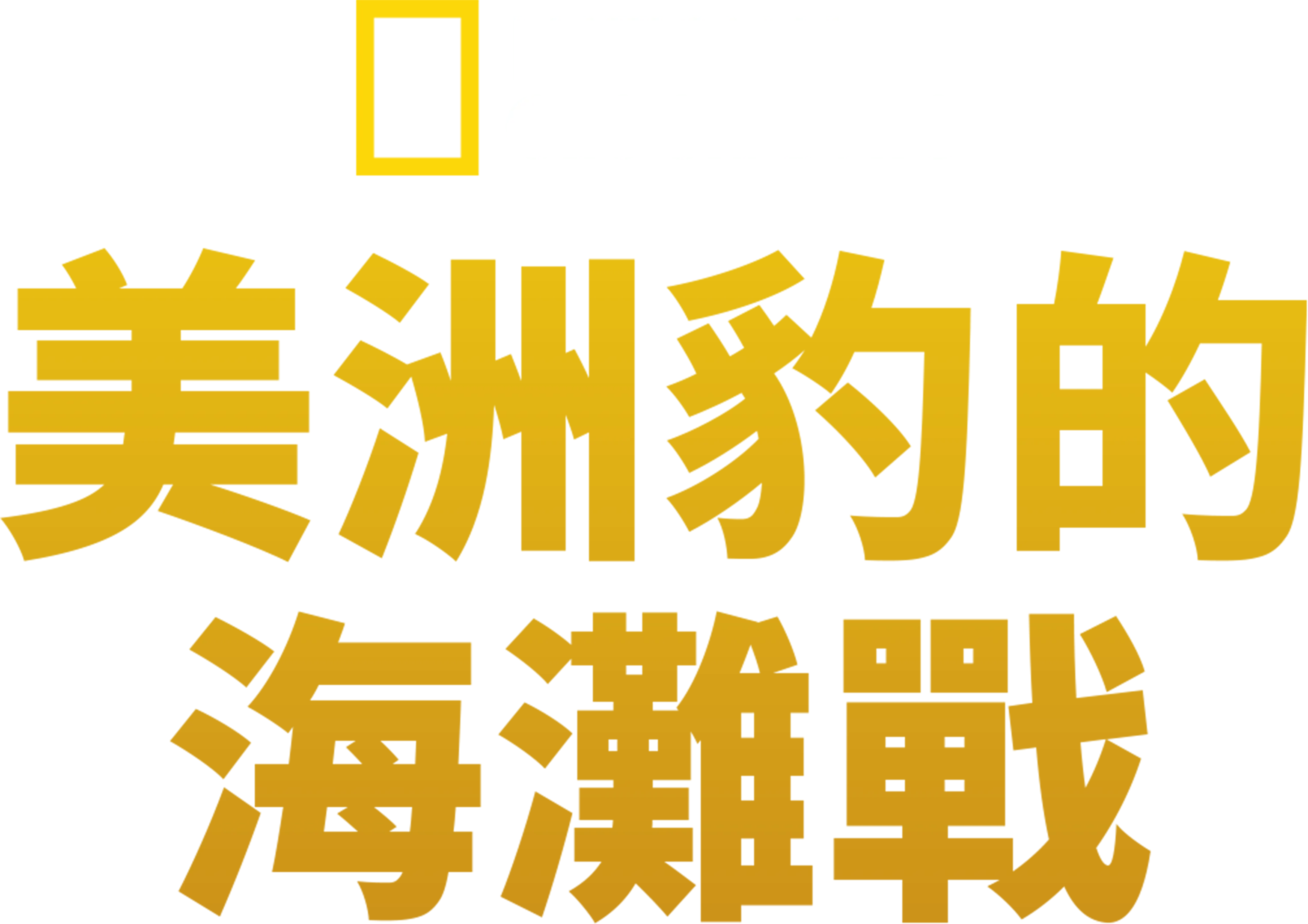 美洲豹的海灘戰