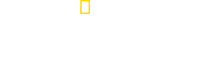 鯊魚爭霸戰