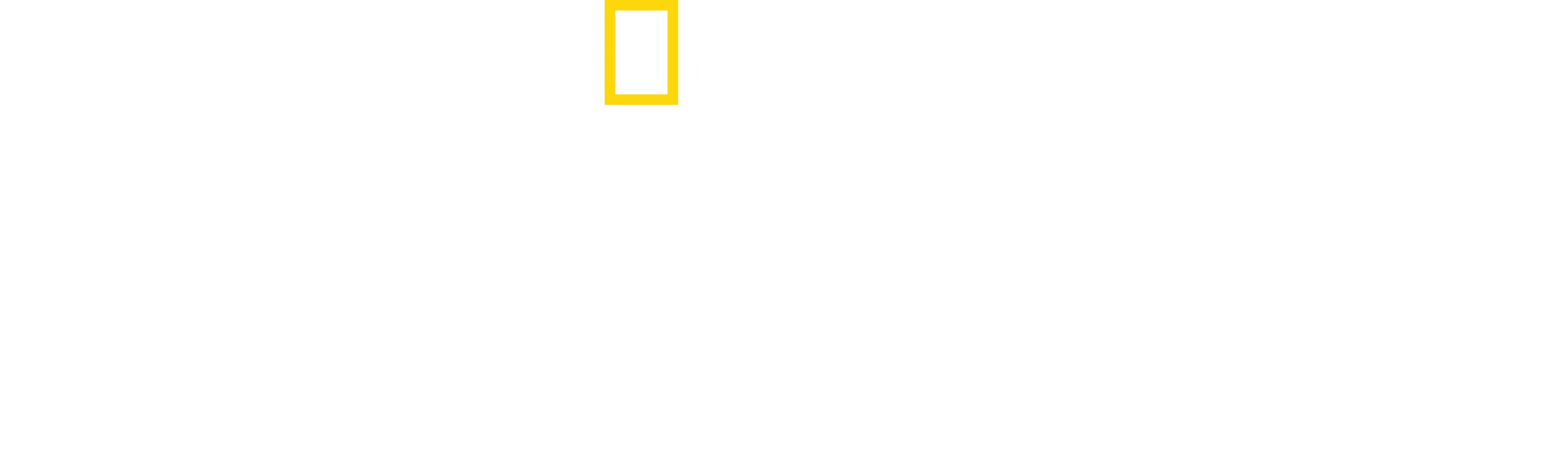 鯊魚爭霸戰