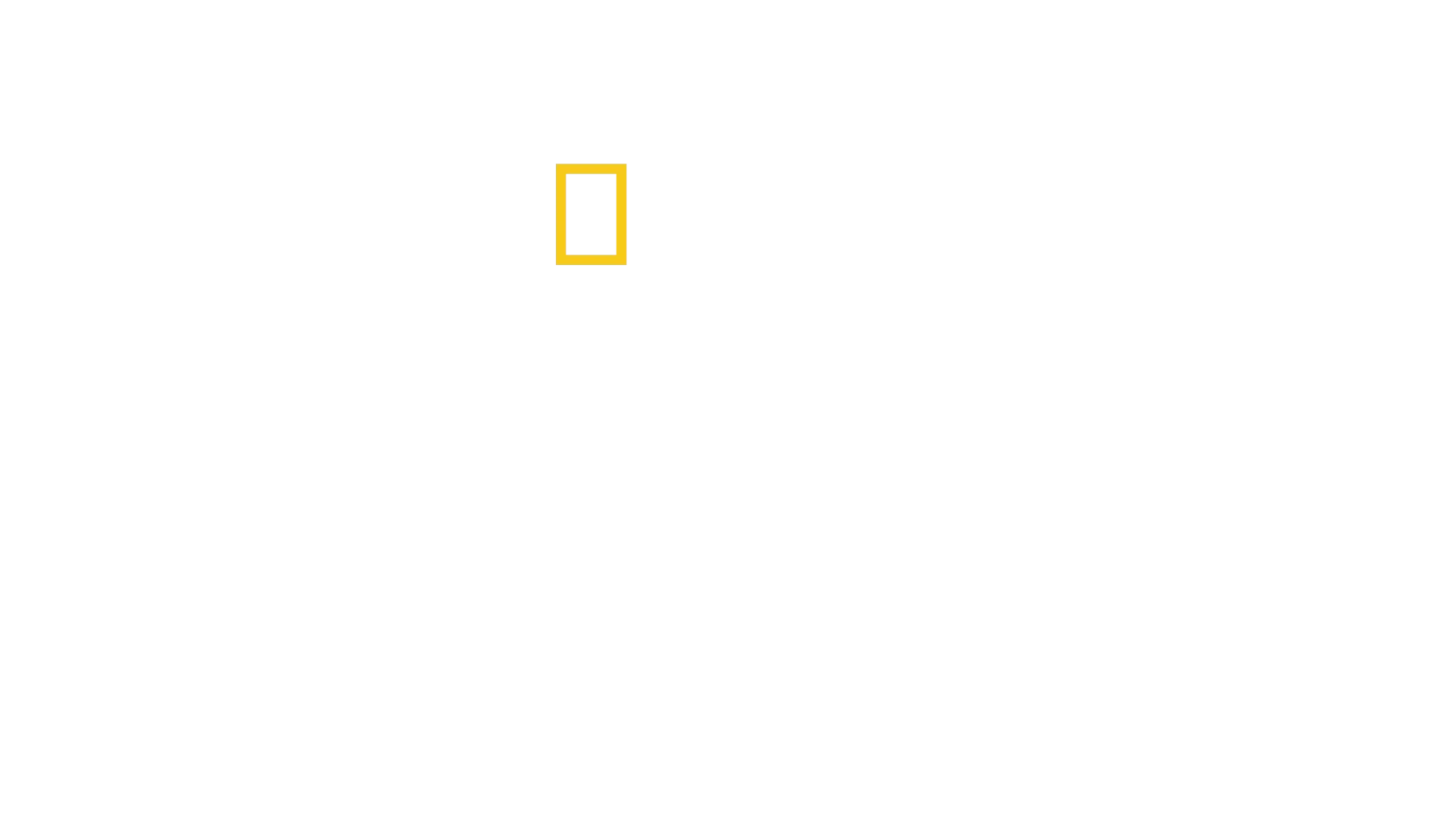 亚马逊雨林保卫战