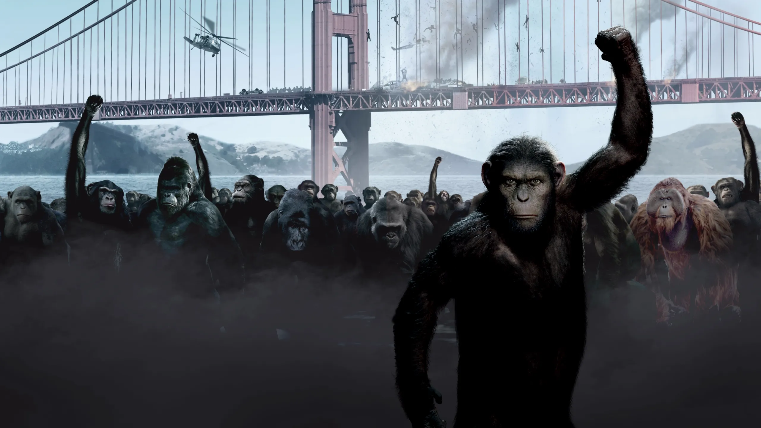 Rise Of The Planet Of The Apes