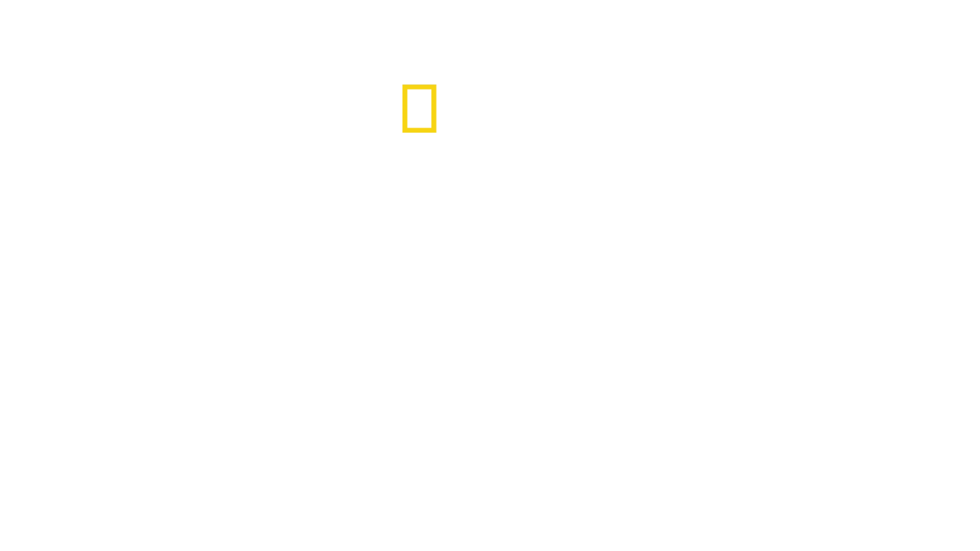 Καρχαρίες στα Νησιά Πίτκερν