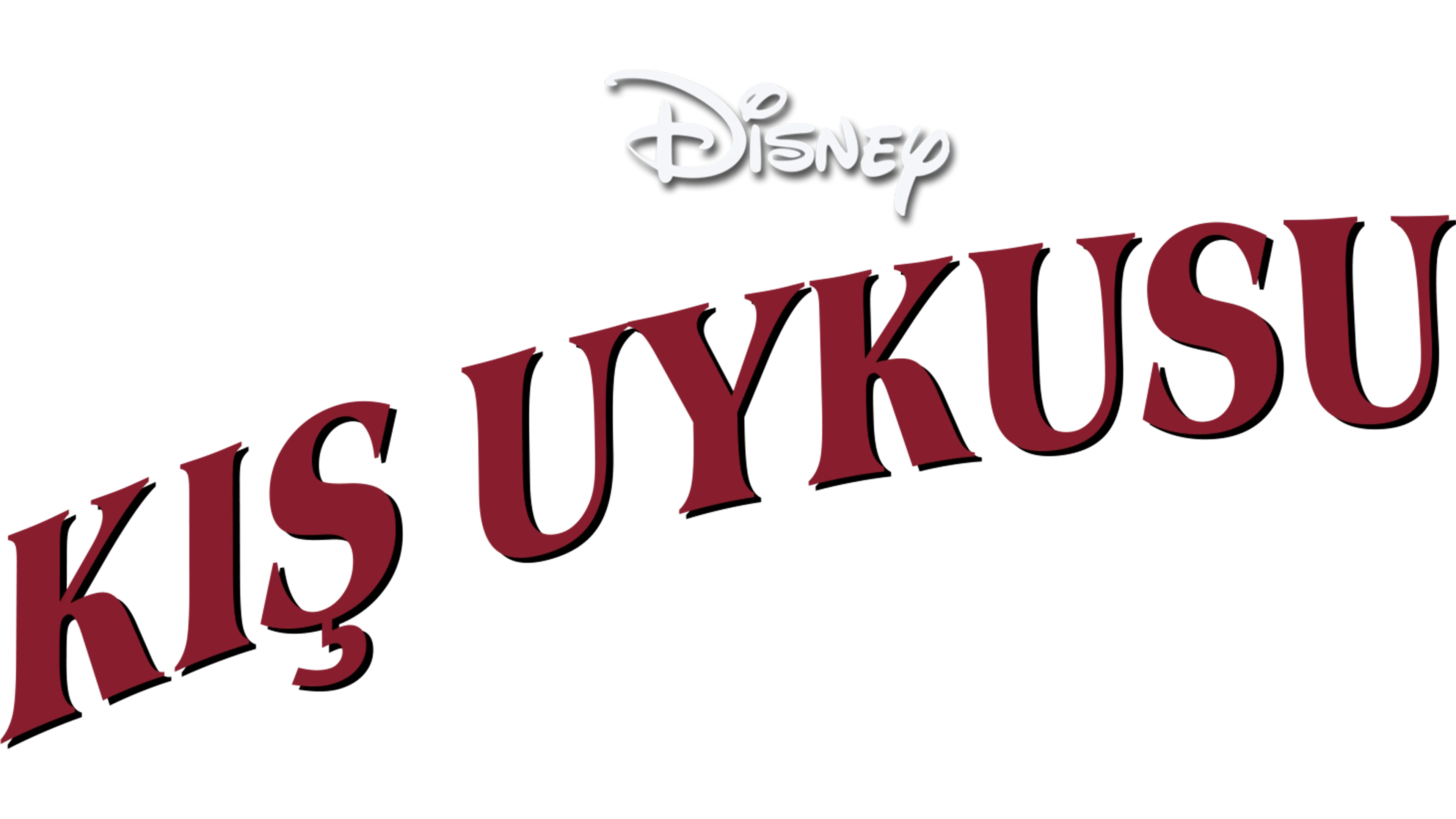 Donald ile Kış Uykusu