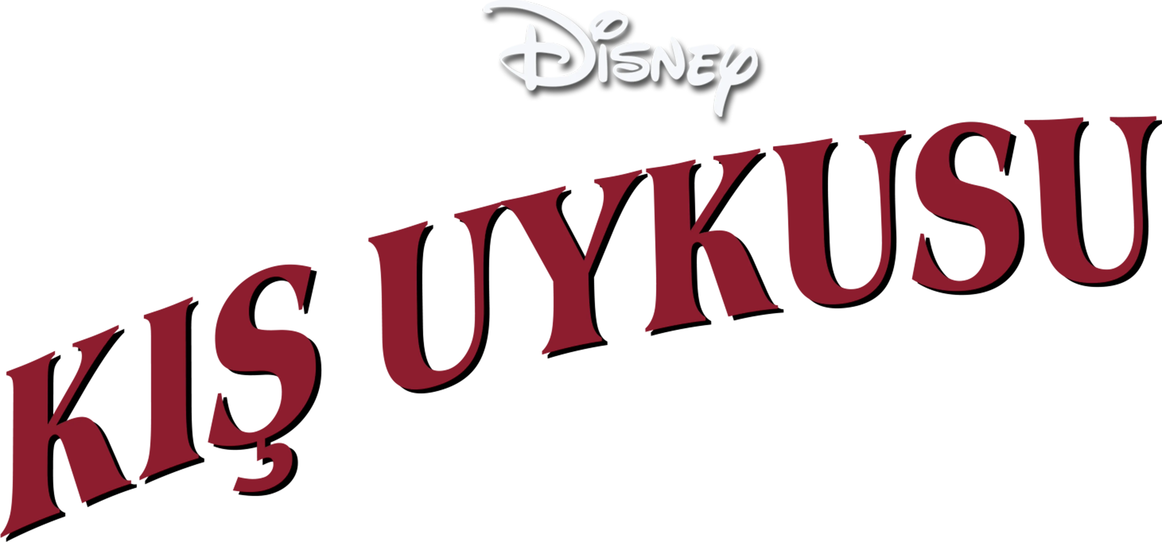 Donald ile Kış Uykusu