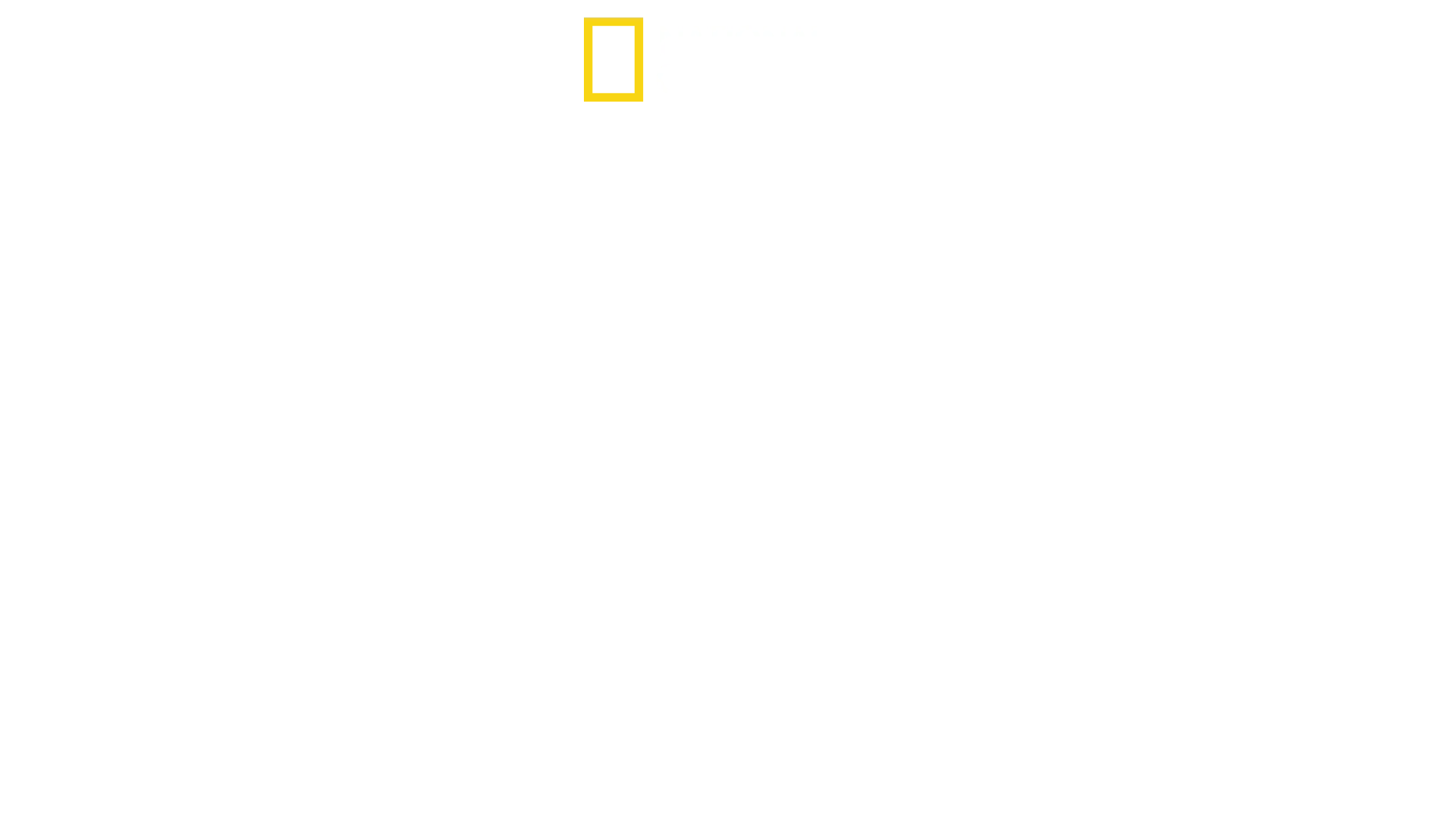 L’Eldorado della droga: Viaggio in USA