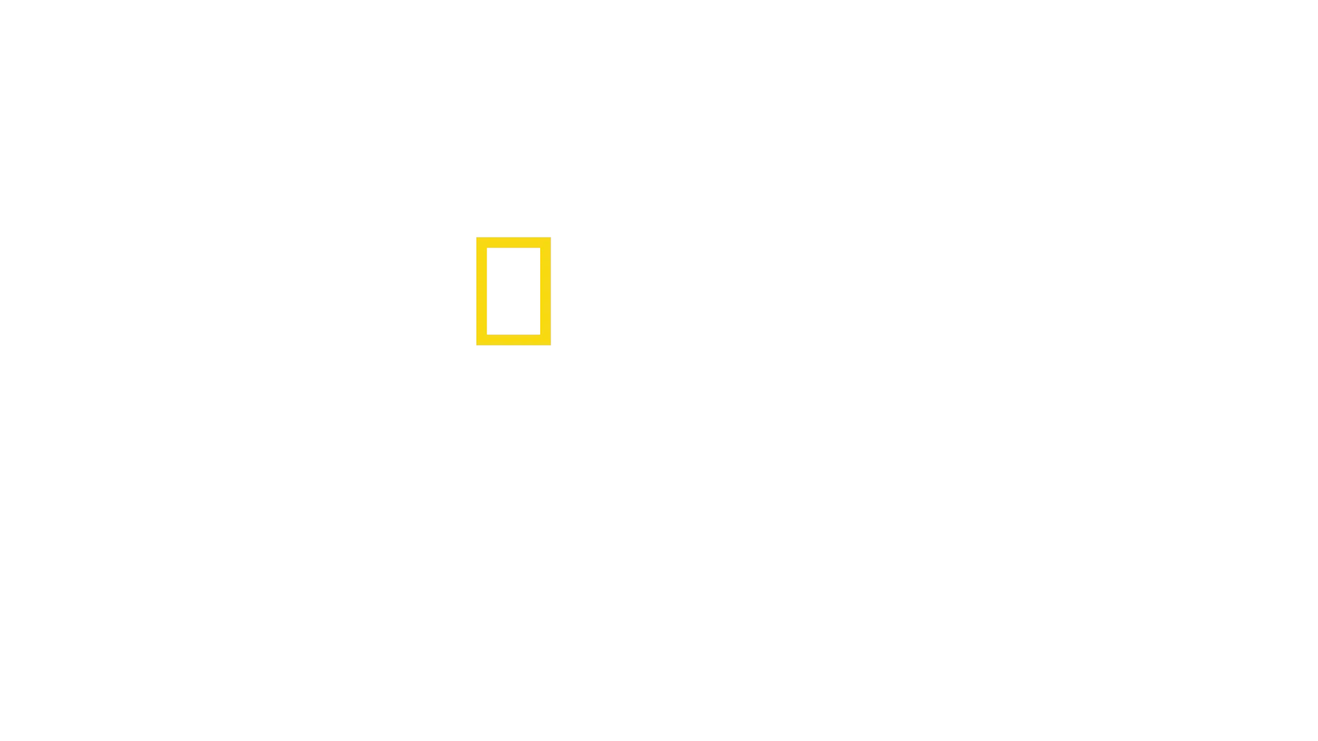 성조기를 만드는 사람들