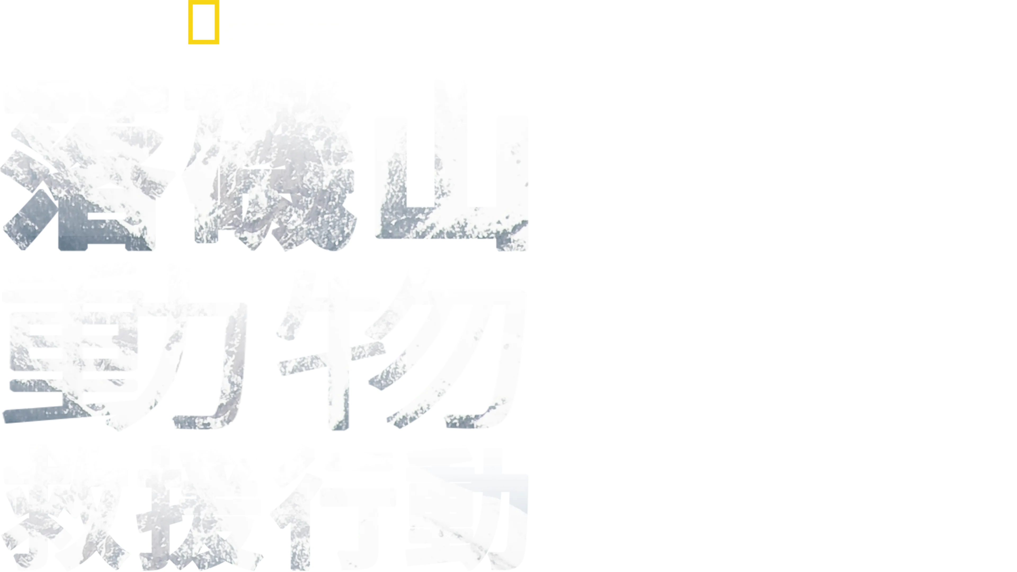 落磯山動物救援行動
