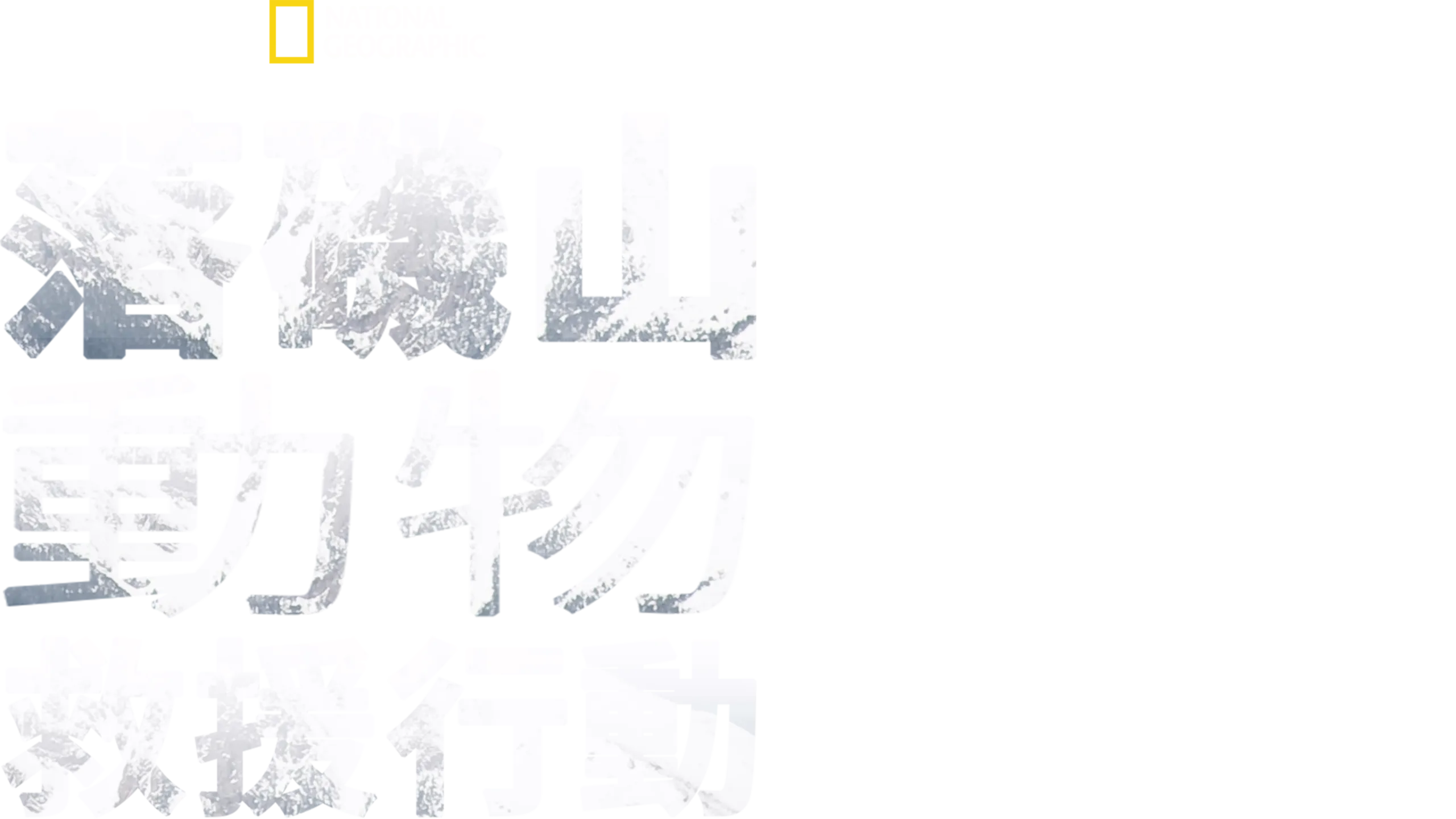 落磯山動物救援行動