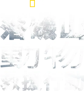 落磯山動物救援行動