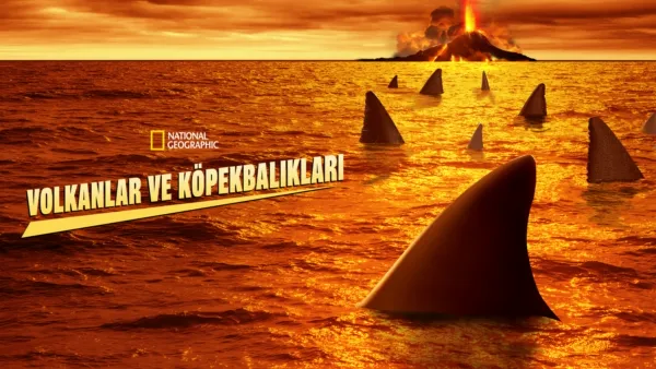 thumbnail - Volkanlar ve Köpekbalıkları