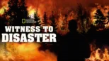 thumbnail - Witness To Disaster