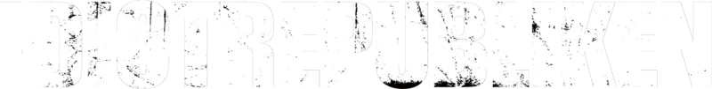 Idiotrepubliken