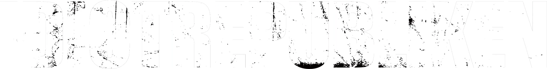 Idiotrepubliken