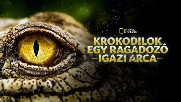 thumbnail - Krokodilok: Egy ragadozó igazi arca