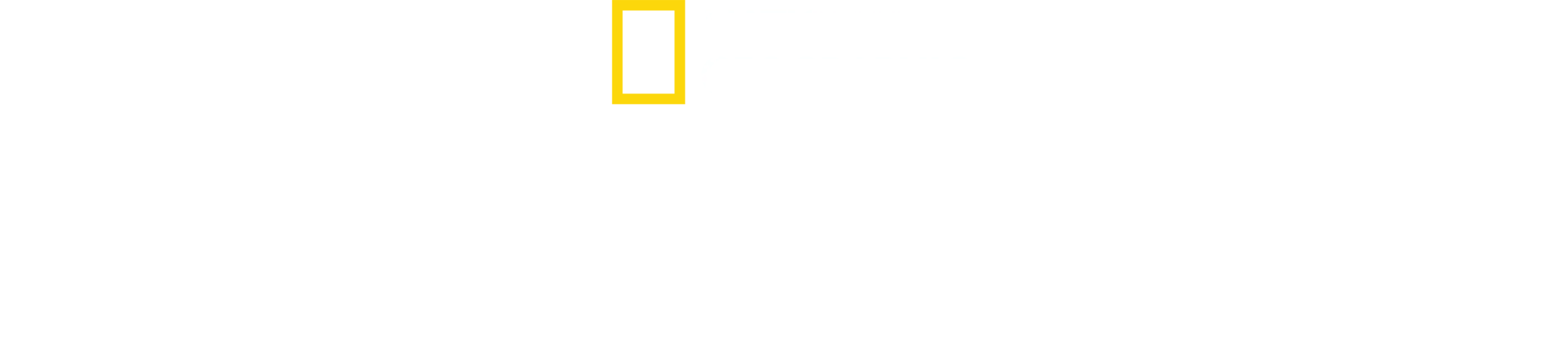 Tubarões vs. Embarcações
