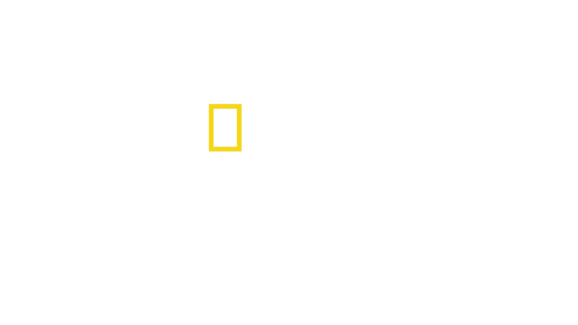 성조기를 만드는 사람들