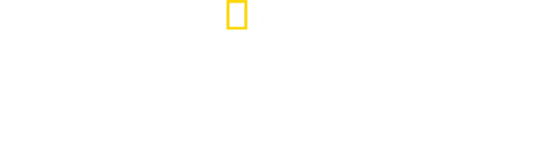 Escalando el Ártico con Alex Honnold