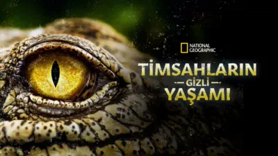 thumbnail - Timsahların Gizli Yaşamı