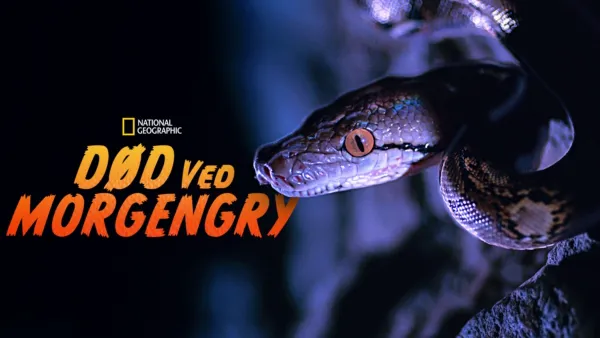 thumbnail - Død ved morgengry