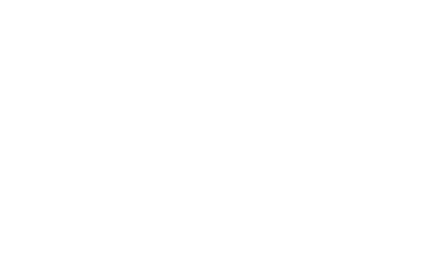 Spies in Disguise