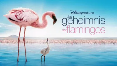 Das Geheimnis der Flamingos
