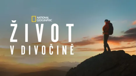 thumbnail - Život v divočině