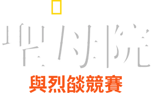 聖母院：與烈燄競賽
