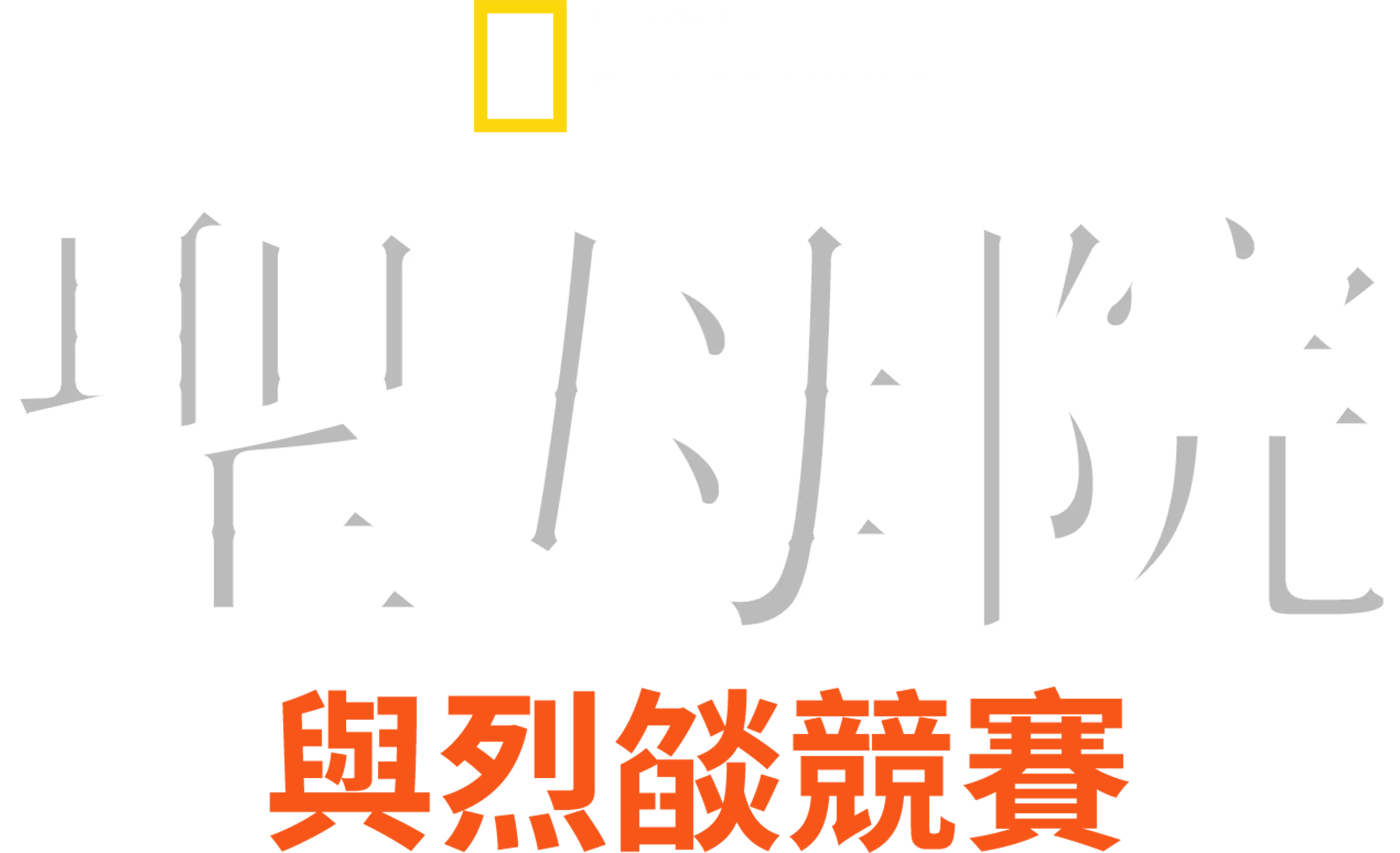聖母院：與烈燄競賽
